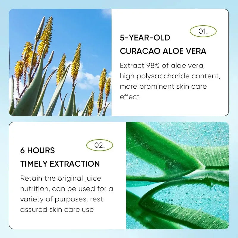 Labios Hidratados y Sin Grietas – Bálsamo de Aloe Vera